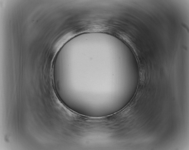 X0000102251487200808081359