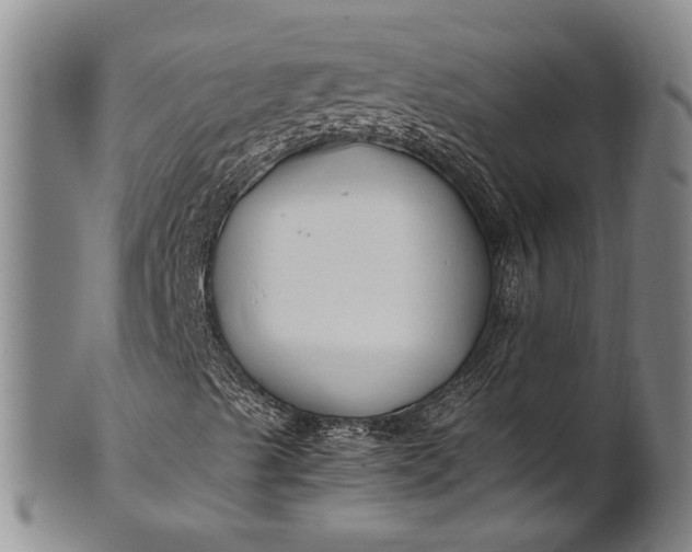 X0000102251489200808081358