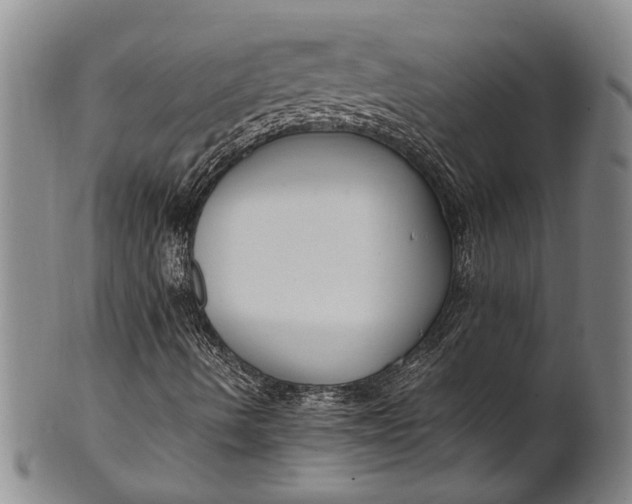 X0000102251490200808081358