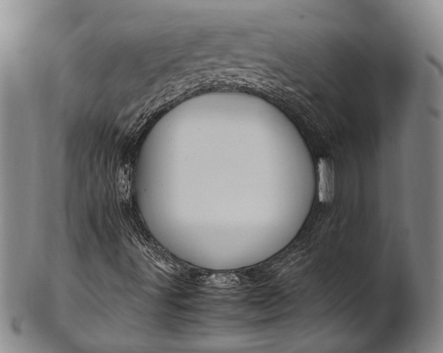 X0000102251491200808081358