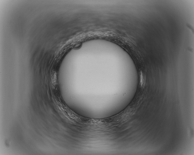 X0000102251492200808081358