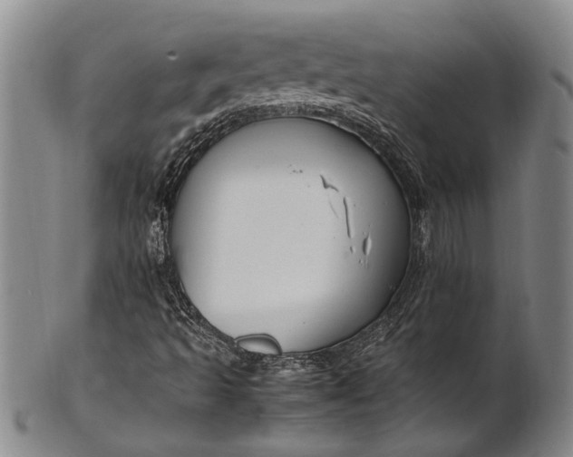 X0000102251493200808081358