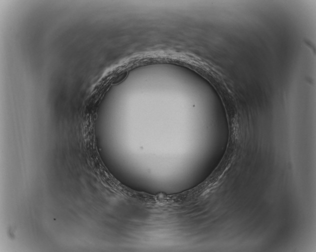 X0000102251494200808081358