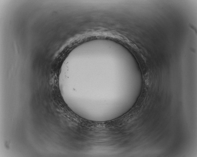 X0000102251495200808081358