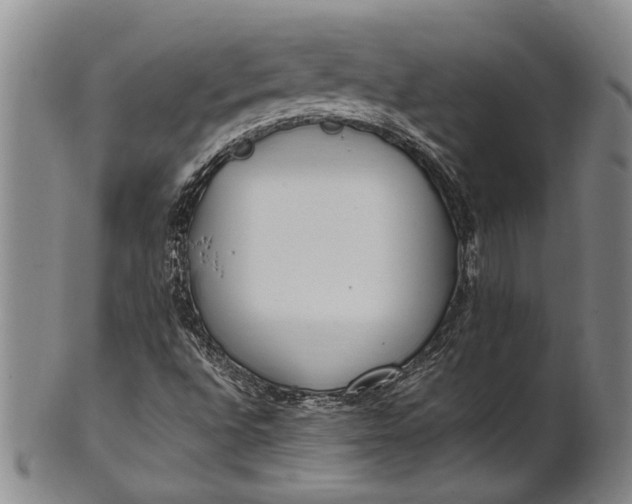 X0000102251496200808081358