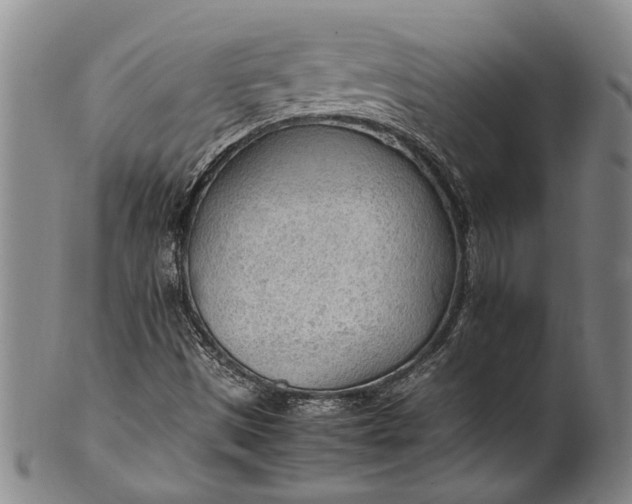 X0000102251497200808081358