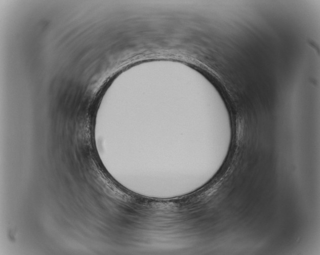 X0000102251498200808081358