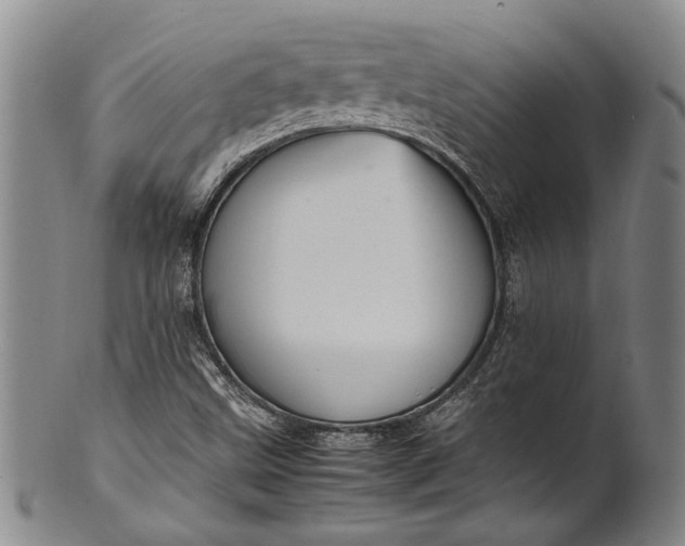 X0000102251499200808081358