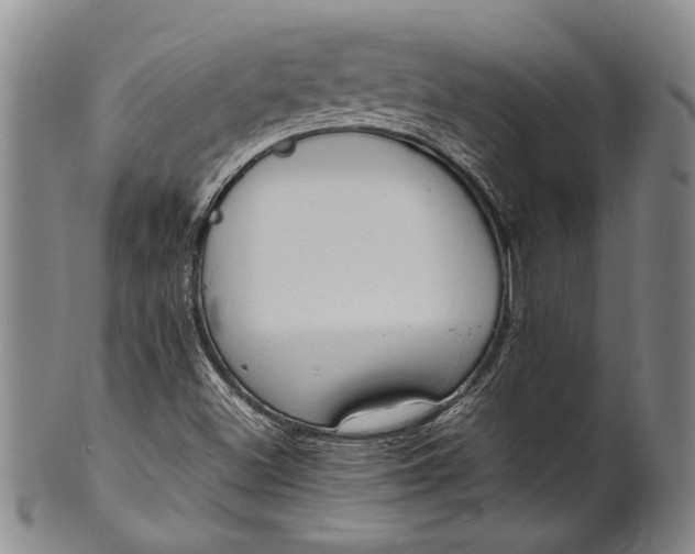 X0000102251500200808081358