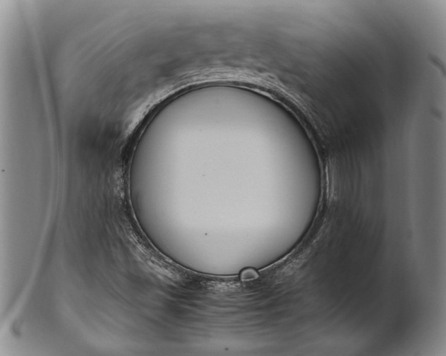 X0000102251501200808081358