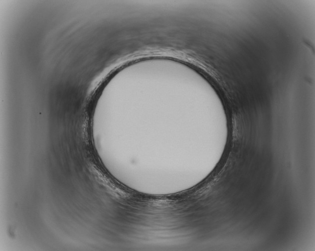 X0000102251502200808081358