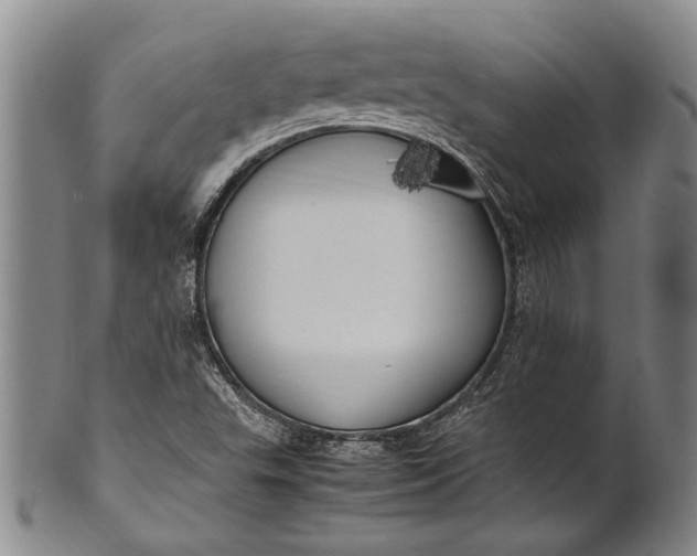 X0000102251503200808081358