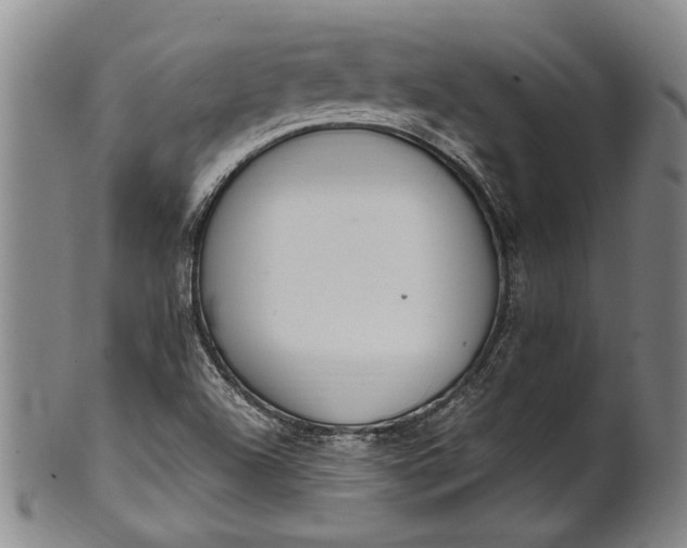 X0000102251504200808081358