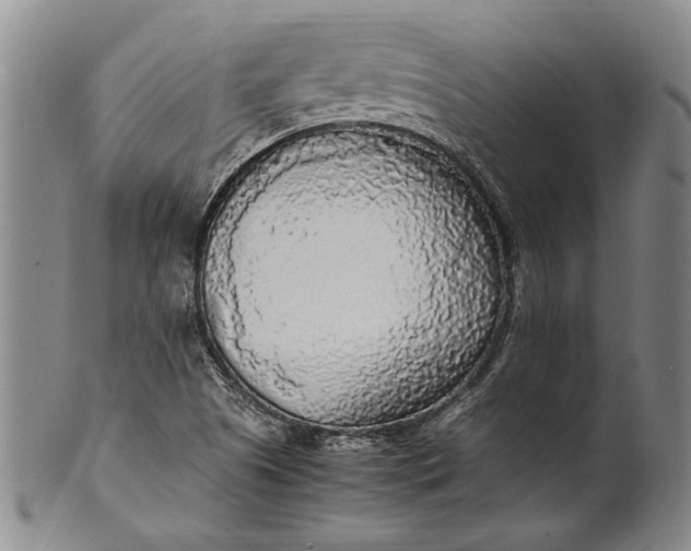 X0000102251505200808081358