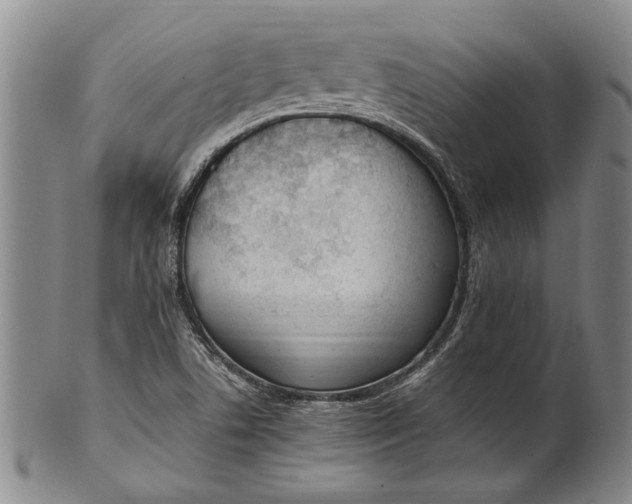 X0000102251506200808081358