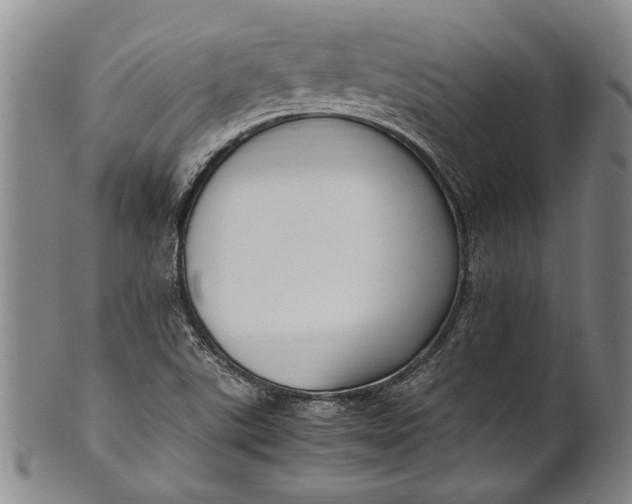 X0000102251507200808081358