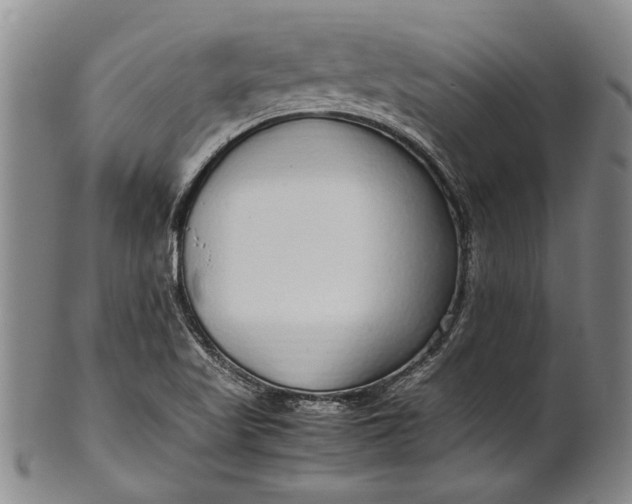 X0000102251509200808081359