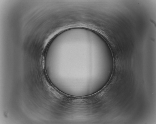 X0000102251510200808081359