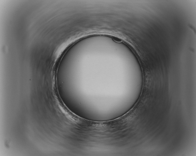 X0000102251511200808081359