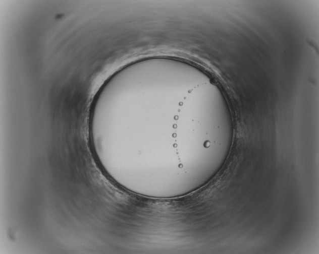 X0000102251512200808081359