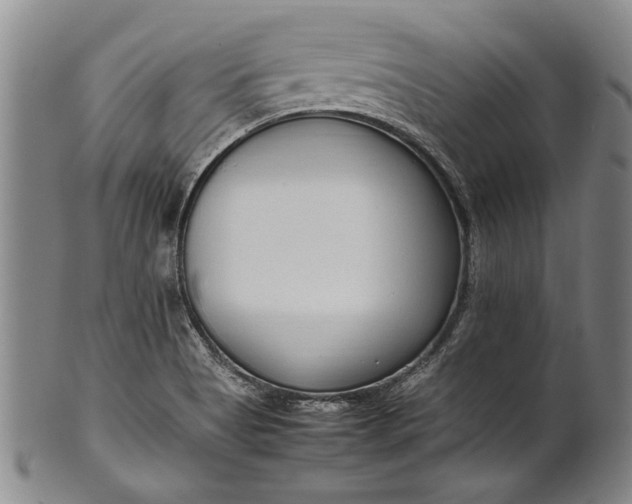 X0000102251513200808081359