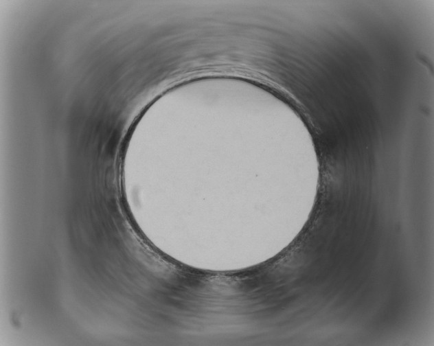 X0000102251514200808081359