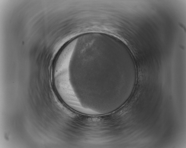 X0000102251515200808081359