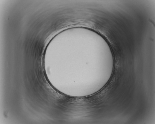 X0000102251516200808081359