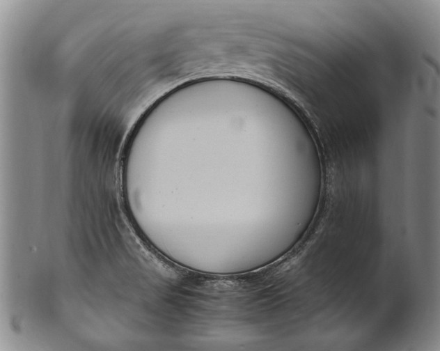 X0000102251517200808081359