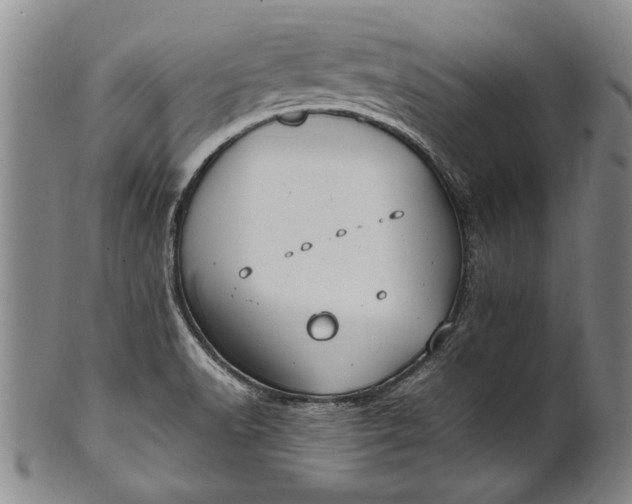 X0000102251518200808081359