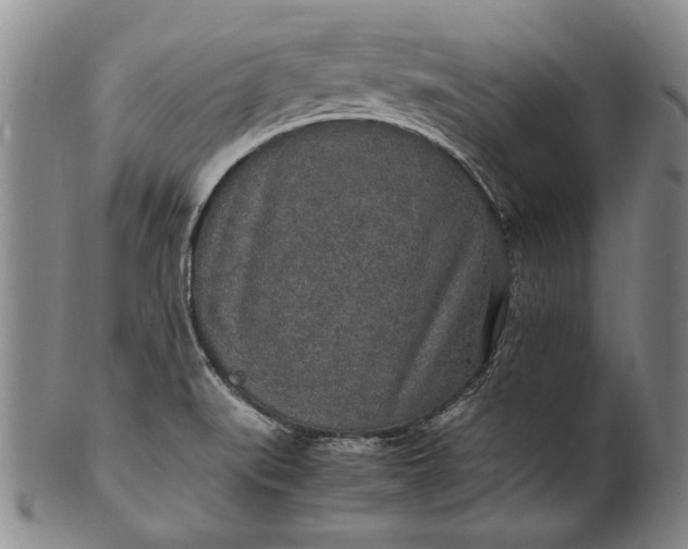 X0000102251519200808081359