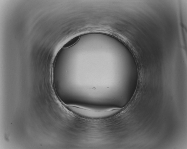 X0000102251520200808081359