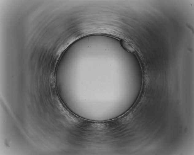 X0000102251521200808081359