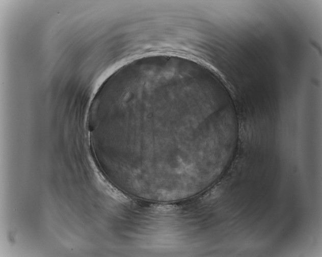 X0000102251522200808081359