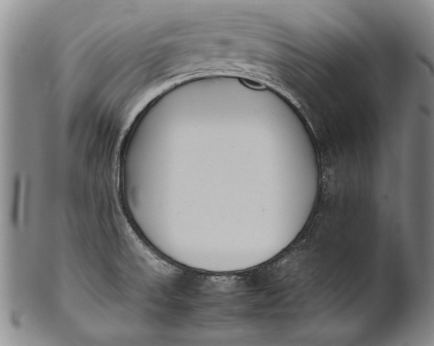 X0000102251523200808081359