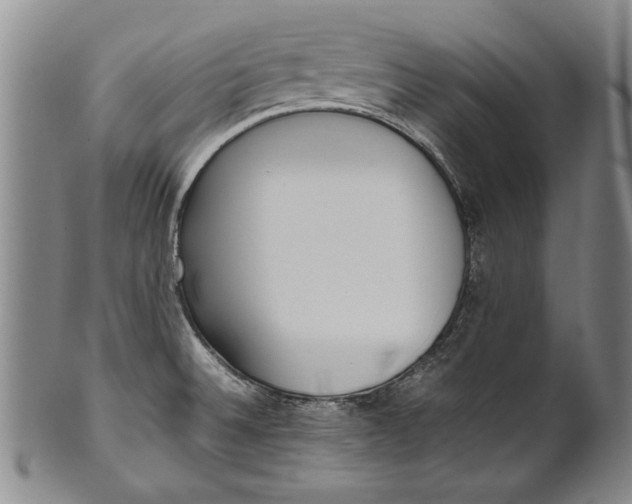 X0000102251524200808081359