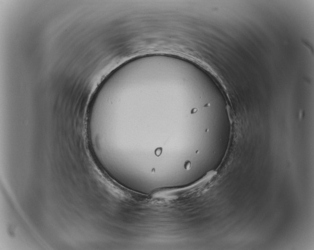 X0000102251525200808081359