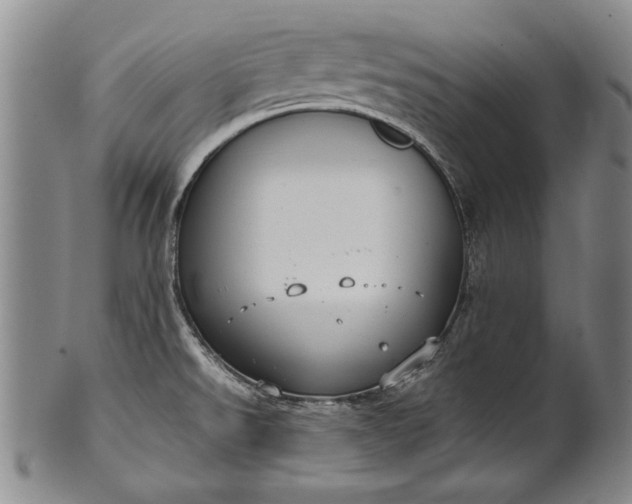 X0000102251526200808081359