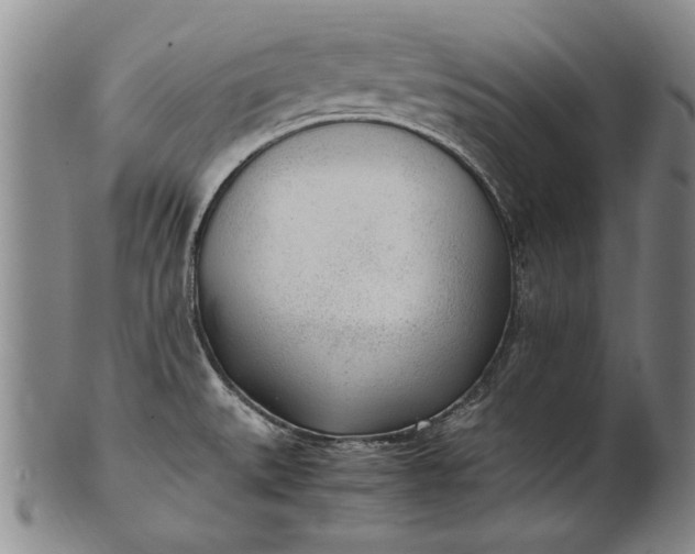 X0000102251527200808081359