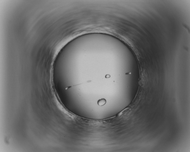 X0000102251528200808081359