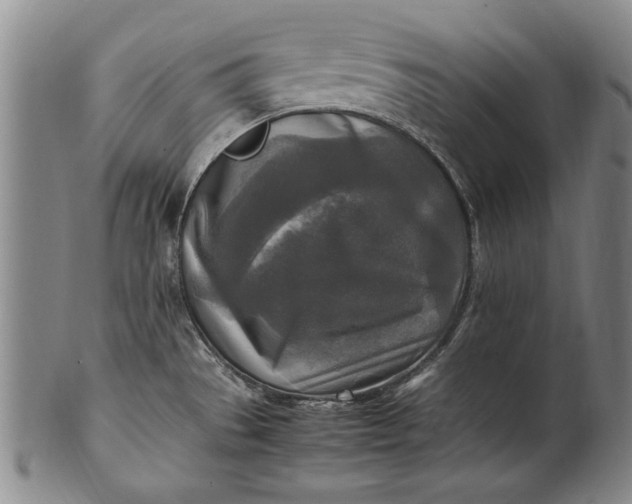 X0000102251529200808081359