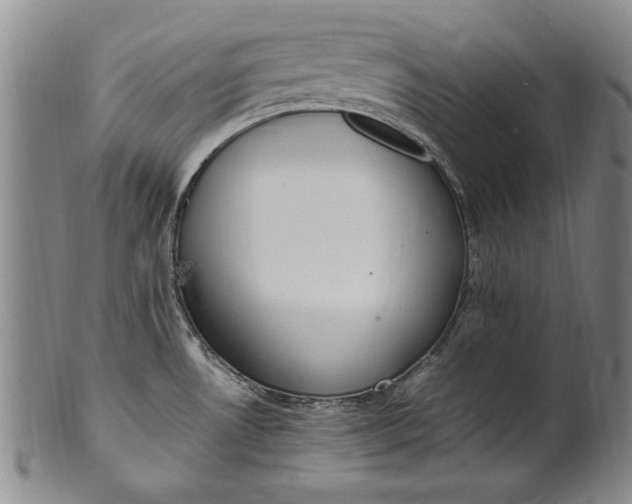 X0000102251530200808081359