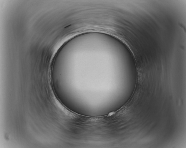 X0000102251531200808081359