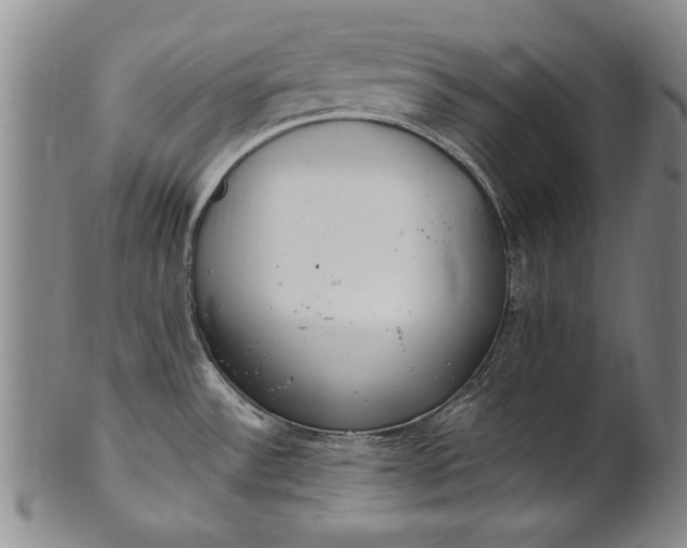 X0000102251532200808081359