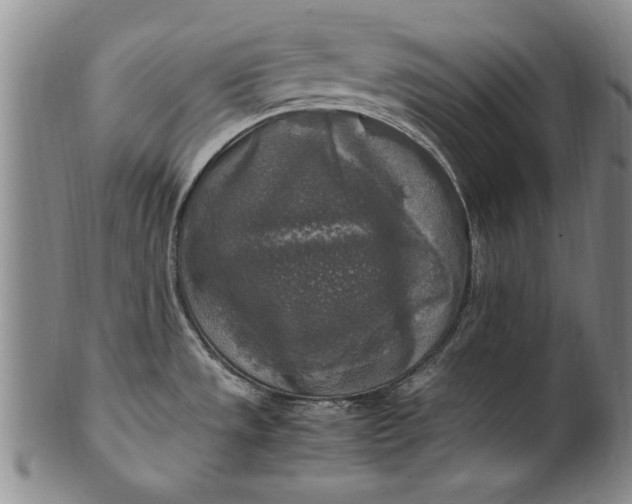 X0000102251533200808081359