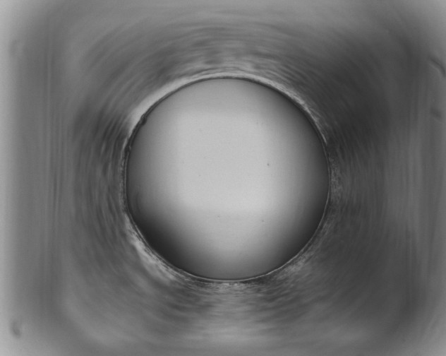 X0000102251534200808081359