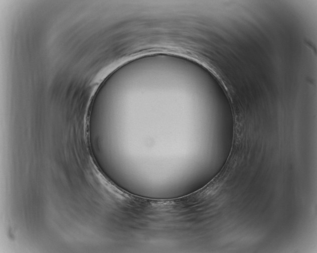 X0000102251535200808081359