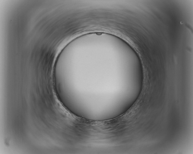 X0000102251536200808081359