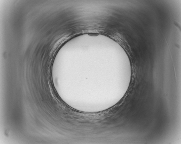 X0000102250001200808151828