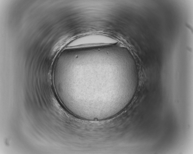 X0000102250002200808151828
